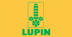 Lupin